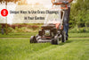 8 Unique Ways to Use Grass Clippings in Your Garden