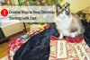 7 Creative Ways to Hang Christmas Stockings with Care