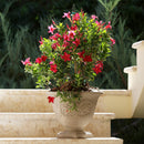 Sunnydaze Darcy Polyresin Outdoor Garden Planter Urn - Beige - 16"