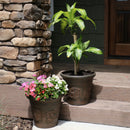 Sunnydaze Arabella Polyresin Outdoor Flower Pot Planter
