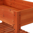 Sunnydaze Raised Wood Garden Bed Planter Box with Shelf