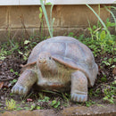 Sunnydaze Tortoise Concrete Garden Statue