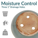 Sunnydaze Round Glazed Ceramic Planter with Drainage