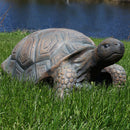 Sunnydaze Tortoise Concrete Garden Statue