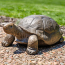 Sunnydaze Tortoise Concrete Garden Statue