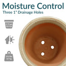 Sunnydaze Round Glazed Ceramic Planter with Drainage