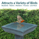 Sunnydaze Simply Square Modern Reinforced Concrete Bird Bath - 23"