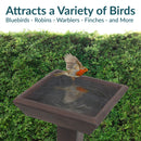 Sunnydaze Simply Square Modern Reinforced Concrete Bird Bath - 23"