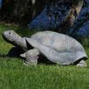 Sunnydaze Tortoise Concrete Garden Statue