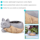 Sunnydaze Finley the Fox Indoor Planter Statue - 8"