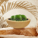 Sunnydaze Percival Polyresin Outdoor Planter Bowl - 20.75"