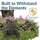 Sunnydaze Tortoise Concrete Garden Statue