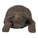 Sunnydaze Tortoise Concrete Garden Statue