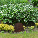 Sunnydaze Polyresin Landscape Rock Cover with Stakes