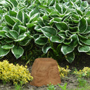 Sunnydaze Polyresin Landscape Rock Cover with Stakes