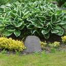 Sunnydaze Polyresin Landscape Rock Cover with Stakes