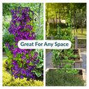 Sunnydaze 2-Piece Chic Diamonds Garden Trellis for Climbing Plants